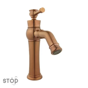 الیزه-طلامات-۲